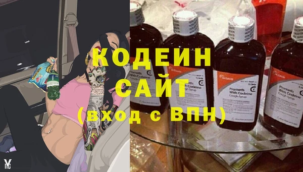кокс Касимов