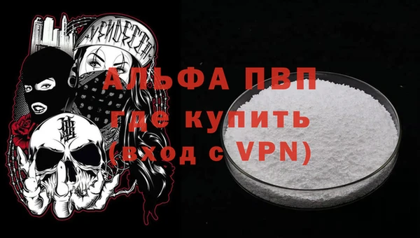 кокс Касимов