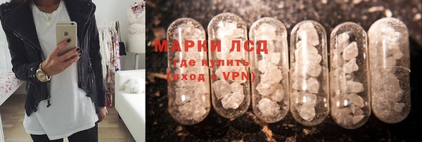кокс Касимов