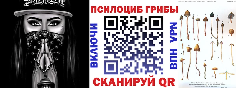 Псилоцибиновые грибы прущие грибы  Купить  Лахденпохья 